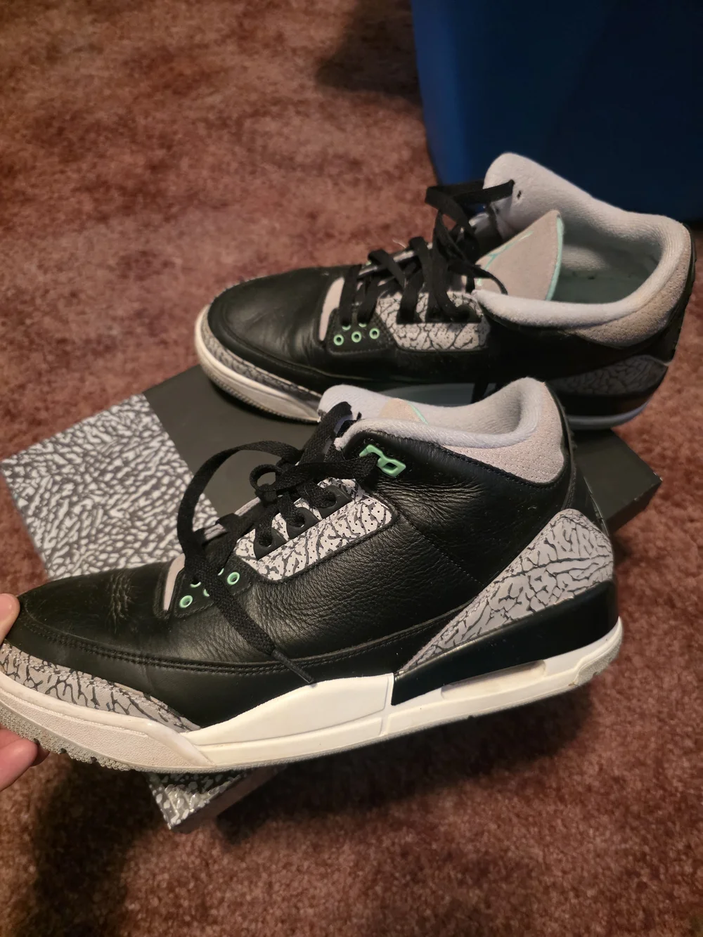 Mens Jordan 3 retro shoes